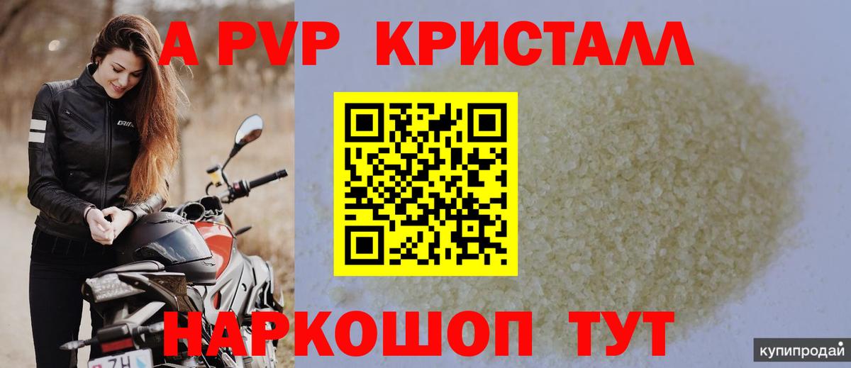 Петровск  дарнет шоп  Вход с VPN  Alfa_PVP СК 