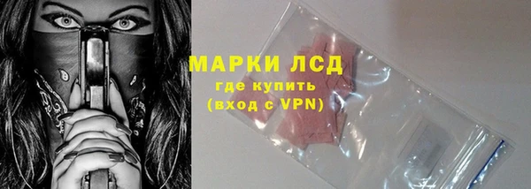 прущие грибы Домодедово