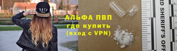 прущие грибы Домодедово