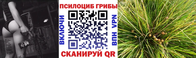 Галлюциногенные грибы Magic Shrooms  MEGA зеркало  Петровск 