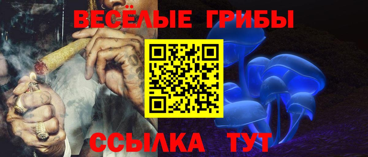 Галлюциногенные грибы MAGIC MUSHROOMS  Вход с VPN  Петровск 